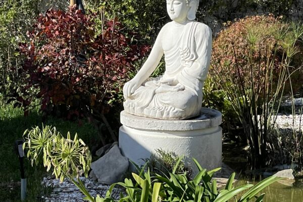 accueil EAP zen